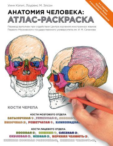 Книга: "Прикладная кинезиология. Восстановление тонуса и функций ...