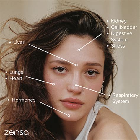 Face Mapping What The Location Of Your Acne Says About Your Skin Heal