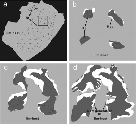 Schematic diagram illustrating the formation process of the magnetite ...