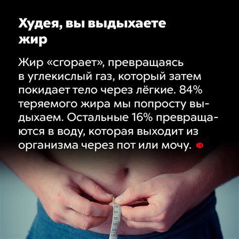 Худея, вы выдыхаете жир