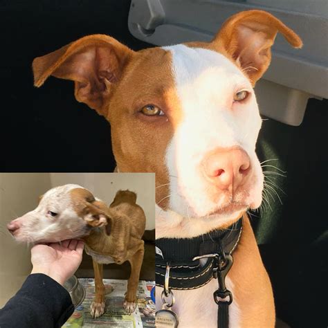 Breckie Hill in Tears? The Emo 13