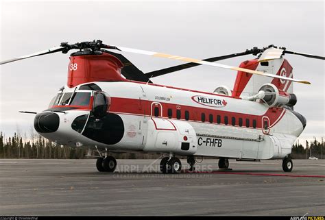 C Fhfb Columbia Helicopters Boeing Vertol 234 At Goose Bay Photo Id