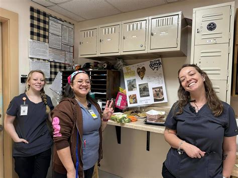 schertz animal rescue 12