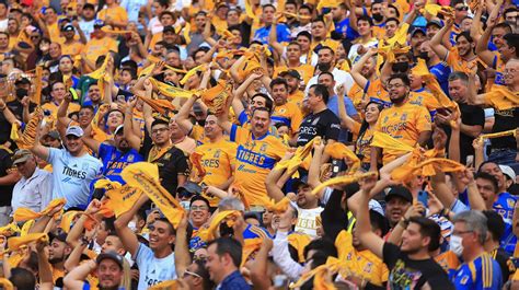 Video Aficionado de Tigres UANL golpeó a un fan del Club América en el