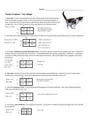 Practice Genetics Sexlinkage Problems Doc Pdf Name Practice Problems Sex Linkage 1 Coat