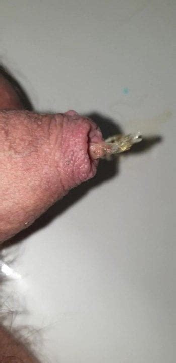 Piss Free HD Videos Porn Video D1 XHamster