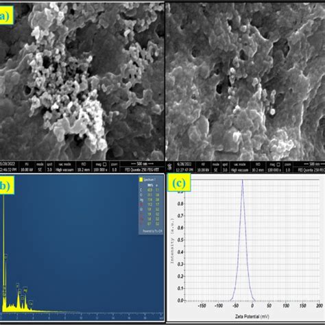 A Sem Images B Edax Spectra Of Synthesized Hg Agnps And C Zeta