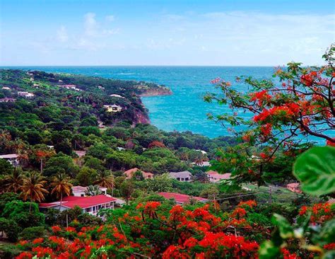 Montserrat Island | Caribbean islands, Caribbean travel, Island