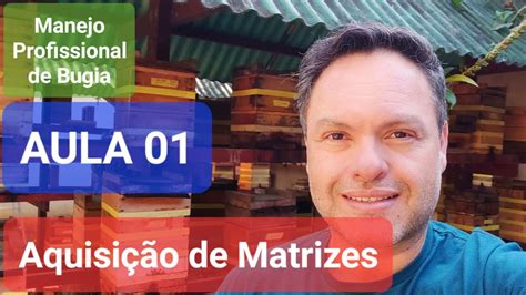 Aula Cuidados Ao Adquirir As Primeiras Matrizes De Bugias Youtube