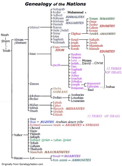 Abraham's Lineage - Bible Genealogy | Bible genealogy, Revelation bible ...