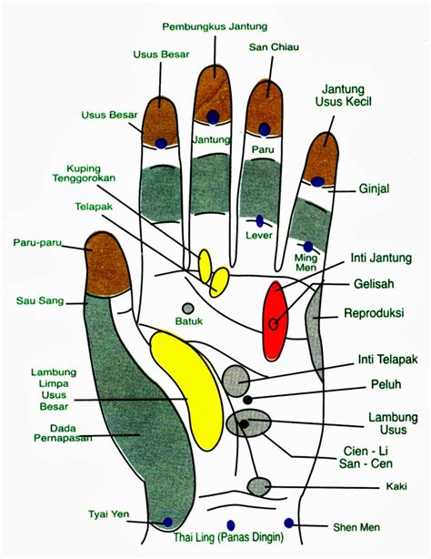 Akupuntur Telapak Tangan Dalchaebi