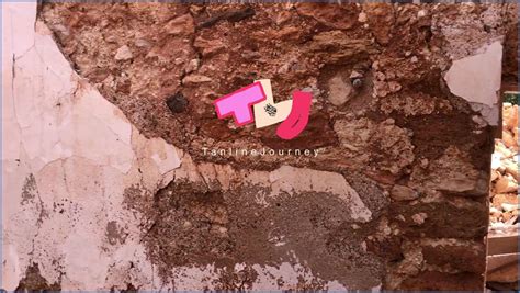 Kinky Chain Fuck Tied Up Fucked Facialized In Public Amateur Couple Tanline Journey Intporn