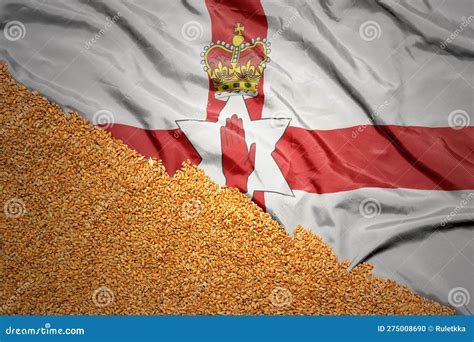 Wheat Grain On The Waving Colorful National Flag Of Northern Ireland