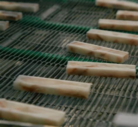 О компании — Аврора Бореалис