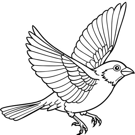 Premium Vector | Finch bird coloring book page vector 21