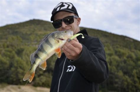 3 techniques et types de leurre pour pêcher la perche en hiver du bord