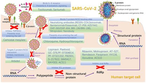 Lessons From Sarscov And Its Variants Review