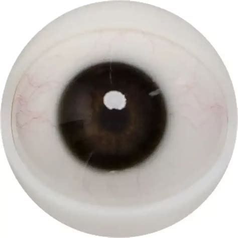 Male Sex Doll Henry FANREAL 173cm 5 8 Best Realistic Anime Sex Dolls My Robot Doll