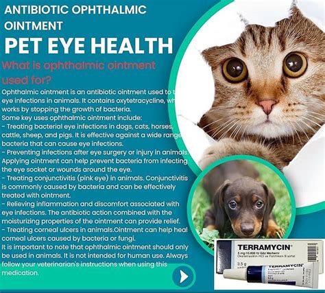 Safedaddy Terramycin Antibiotic Ointment for Eye Infection Treatment in Dogs, Cats, Cattle ...