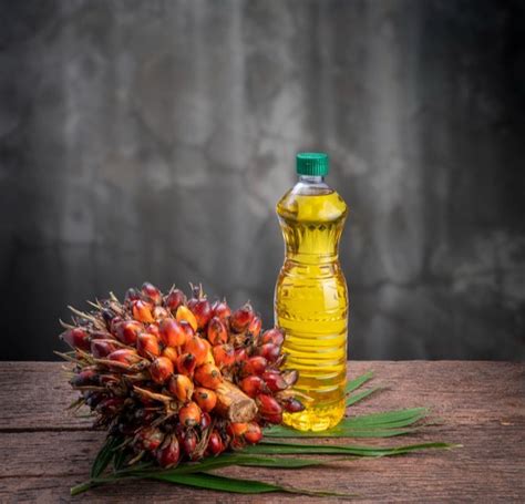 Palm Olein Oil at Best Price in India