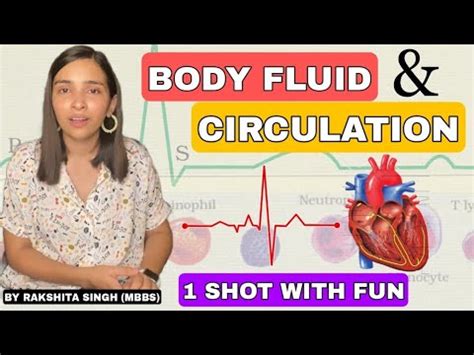 Body Fluids And Circulation One Shot Class Ncert Best Biology