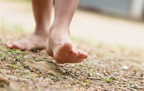 barefoot child   forest stock  pictures royalty