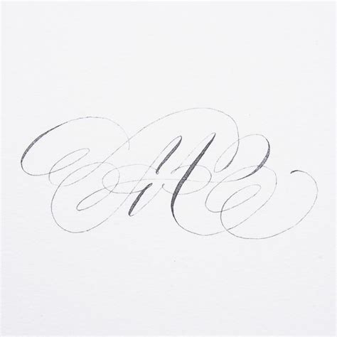 lindsey hook calligraphy flourish letter  cursive  calligraphy