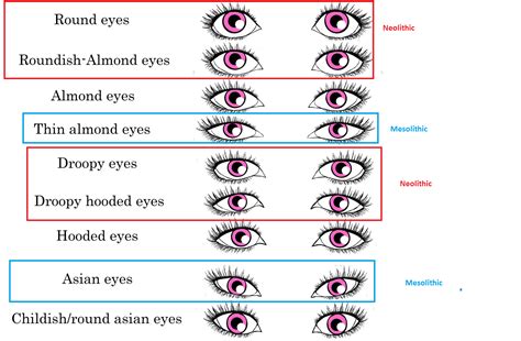 japanese eye chart