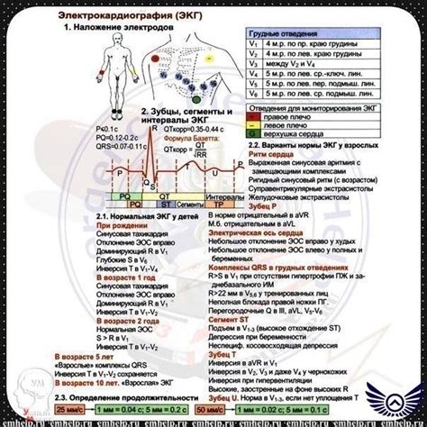 Памятка по ЭКГ | Medicine, Cardiology, Anatomy