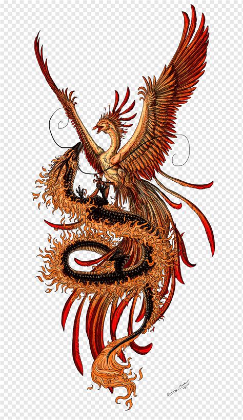 Tattoo Dragon And Phoenix Phoenix Drawing Phoenix Artwork Phoenix