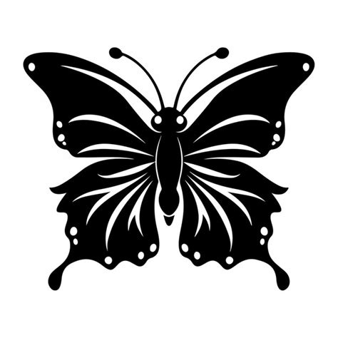 Premium Vector Butterfly Silhouette Illustration Vector Design