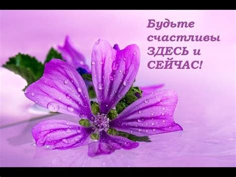 Будьте счастливы ЗДЕСЬ и СЕЙЧАС. Красивое поздравление. - YouTube