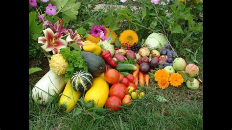 Ооо Агромакс - Агромакс Инструкция По Применению - YouTube