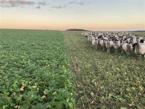 Farmers Of The UK on Twitter: "A little bit on our farming system. We