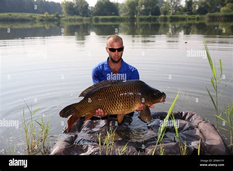 The Angler Has Caught A Nice Young Carp And Is Posing For Photos The