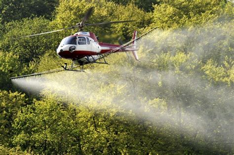 El nuevo reglamento biocidas que entra en vigor mañana aumentará