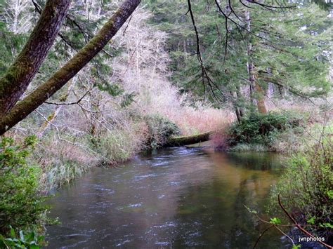 Photos By Jan Sutton Campground Florence Oregon