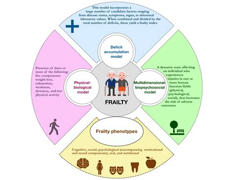 Overview Of The Main Models Used To Detect Frailty Syndrome In Older