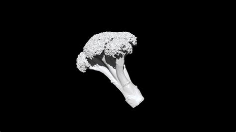 3d Model Broccoli Cut 3d Ct Scan Model 2 Decimate 3percent Turbosquid 1886423