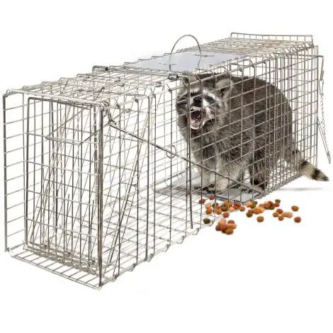 Best Raccoon Traps Reviewed & Rated for Quality - TheGearHunt