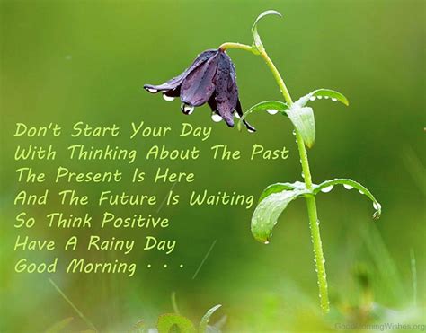 Beautiful Rainy Good Morning Quotes