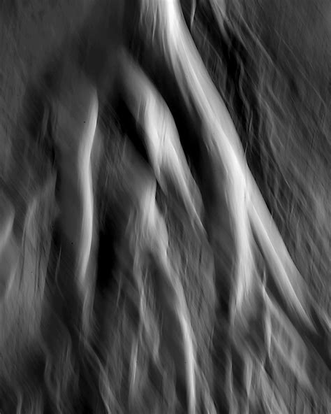 Tree Smoke + Rework - Abstract Nature Critiques - Nature Photographers