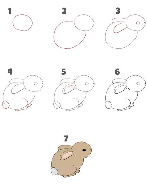 How to draw A Little Rabbit step by step - Drawing Photos