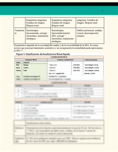 Solution Lesi N Renal Aguda Y Cr Nica Studypool