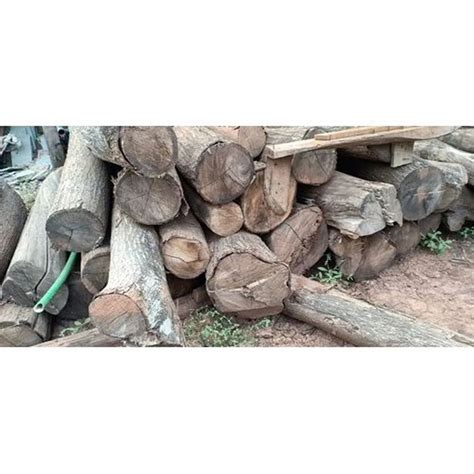 Brown Round Feet Akesha Teak Wood Logs At Rs Cubic Feet In