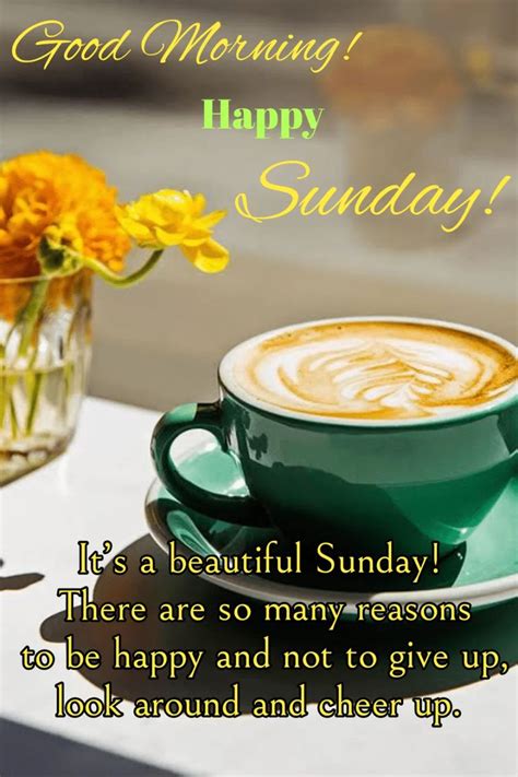 Happy Sunday Good Morning Sunday Wishes1234 Good Morning Sunday