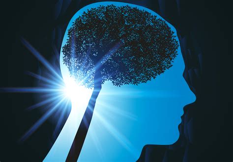 Gehirn Und Seele Erkenntnisse Der Neurophysiologi