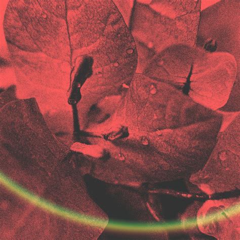 Sex For Breakfast Song And Lyrics By LoFi Waiter Mood Shiloh Dynasty Spotify