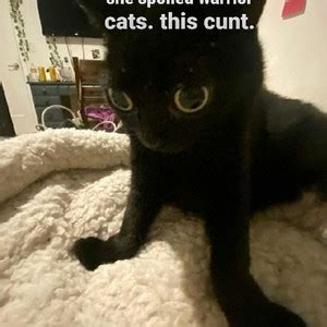 Beat His Ass Bro A Rage Playlist Playlist By Hazel Spotify