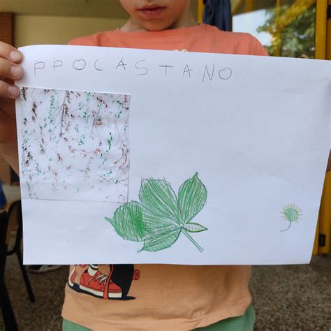 Il Nome Degli ALBERI Legambiente Circolo Grugnotorto Paderno Dugnano